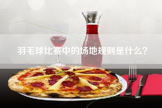 羽毛球比赛中的场地规则是什么？