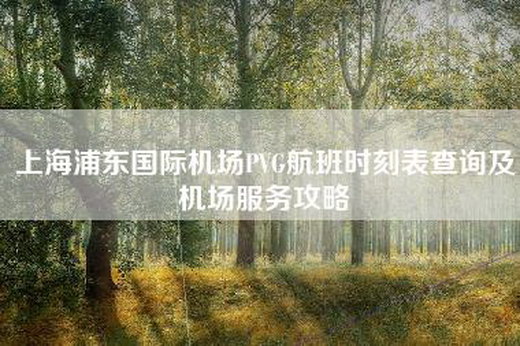 上海浦东国际机场PVG航班时刻表查询及机场服务攻略