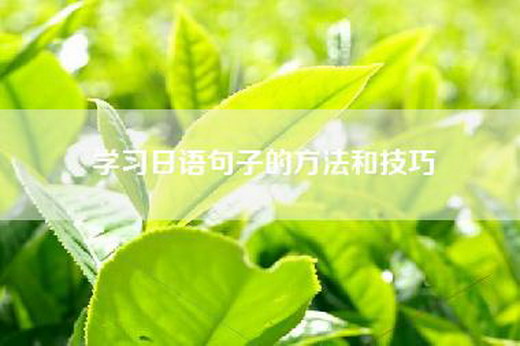 学习日语句子的方法和技巧