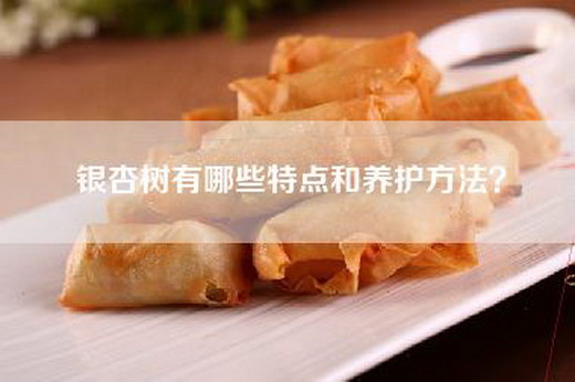 银杏树有哪些特点和养护方法？