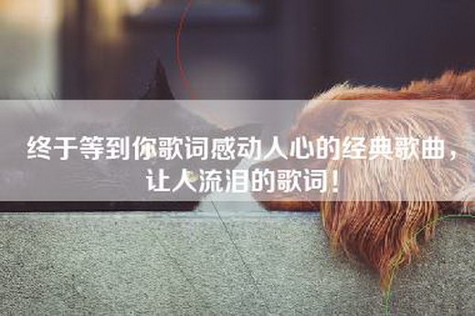 终于等到你歌词感动人心的经典歌曲，让人流泪的歌词！