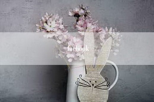 facbook