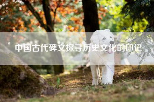 中国古代碑文探寻历史文化的印记