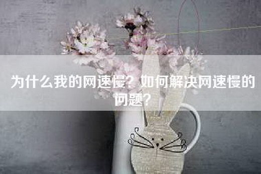 为什么我的网速慢？如何解决网速慢的问题？