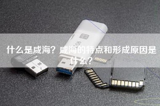什么是咸海？咸海的特点和形成原因是什么？
