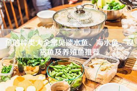 鱼的种类大全常见淡水鱼、海水鱼、观赏鱼及养殖鱼推荐