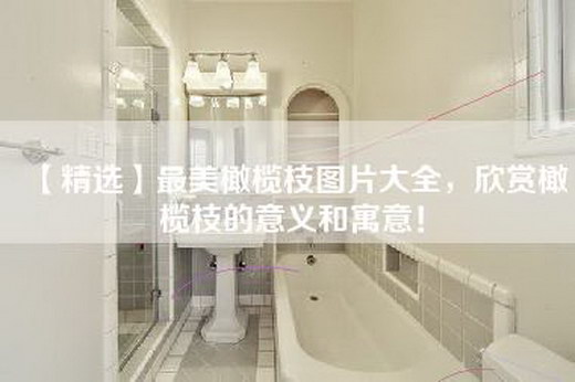 【精选】最美橄榄枝图片大全，欣赏橄榄枝的意义和寓意！