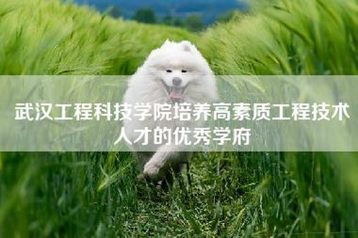 武汉工程科技学院培养高素质工程技术人才的优秀学府