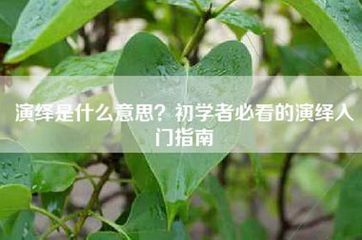 演绎是什么意思？初学者必看的演绎入门指南