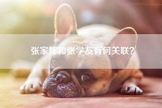 张家辉和张学友有何关联？