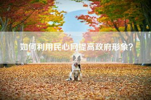 如何利用民心网提高政府形象？