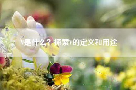 V是什么？探索V的定义和用途