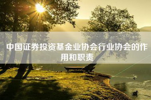中国证券投资基金业协会行业协会的作用和职责