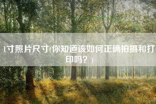 1寸照片尺寸(你知道该如何正确拍摄和打印吗？)