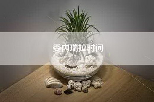 委内瑞拉时间
