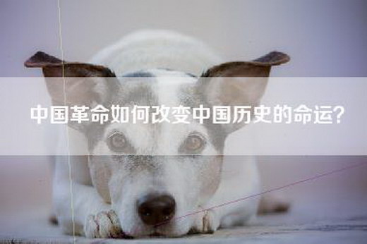 中国革命如何改变中国历史的命运？