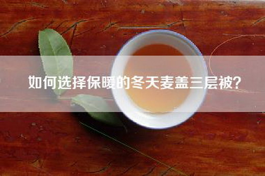 如何选择保暖的冬天麦盖三层被？