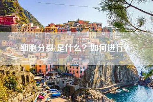细胞分裂(是什么？如何进行？)