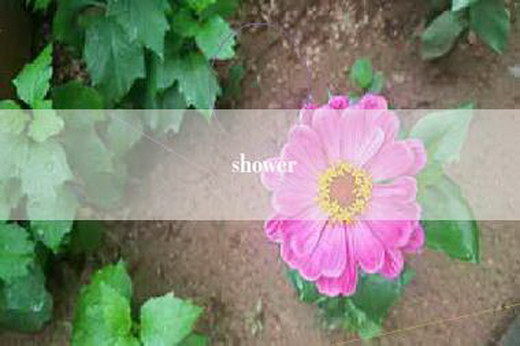 shower