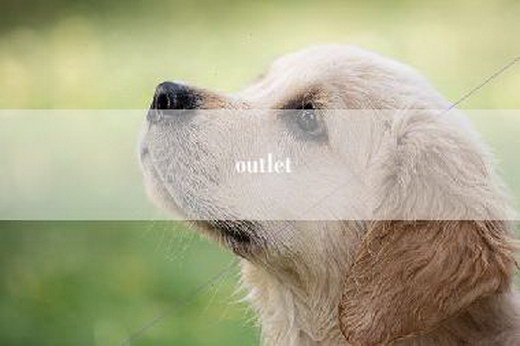 outlet