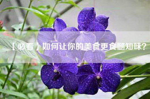【必看】如何让你的美食更食髓知味？