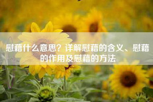 慰藉什么意思？详解慰藉的含义、慰藉的作用及慰藉的方法