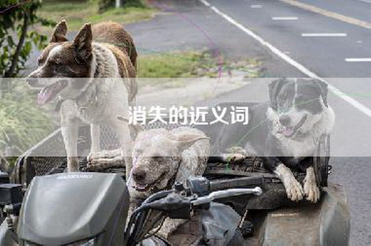 消失的近义词
