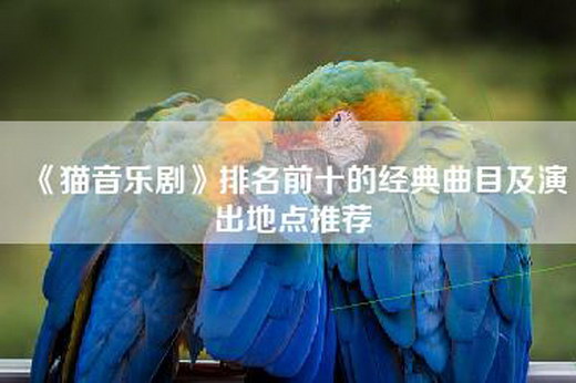 《猫音乐剧》排名前十的经典曲目及演出地点推荐