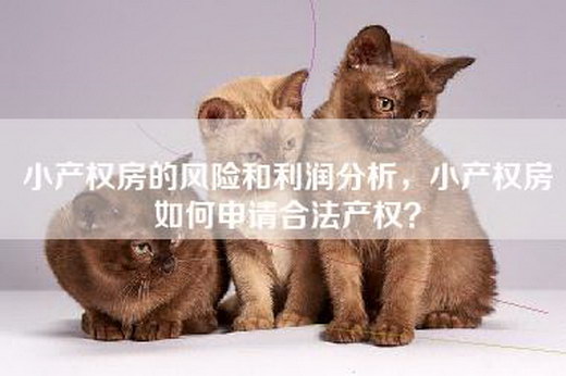 小产权房的风险和利润分析，小产权房如何申请合法产权？