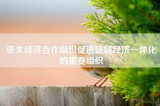 亚太经济合作组织促进区域经济一体化的重要组织