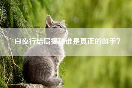 白夜行结局揭秘谁是真正的凶手？