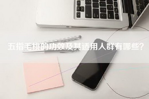 五指毛桃的功效及其适用人群有哪些？