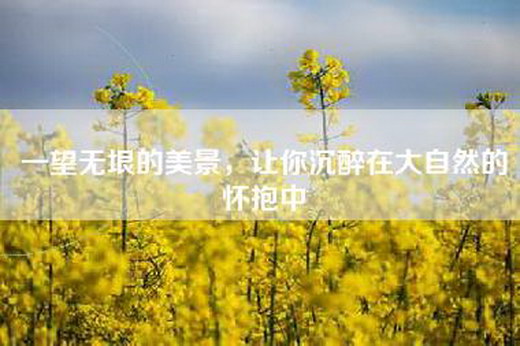 一望无垠的美景，让你沉醉在大自然的怀抱中