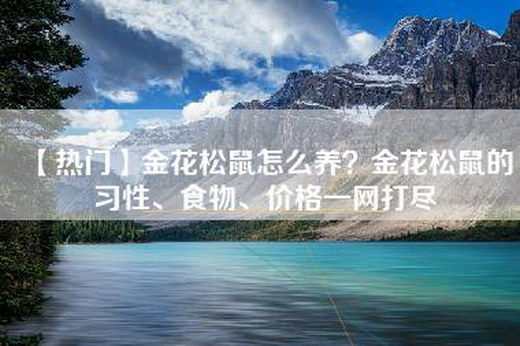 【热门】金花松鼠怎么养？金花松鼠的习性、食物、价格一网打尽