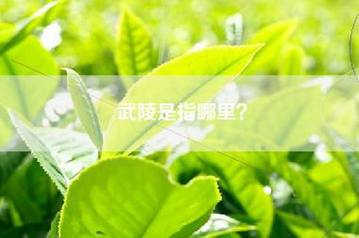 武陵是指哪里？