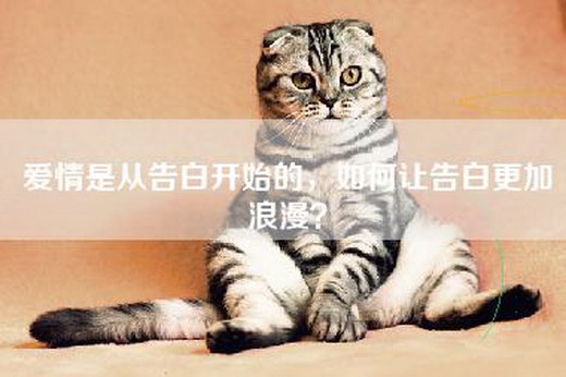 爱情是从告白开始的，如何让告白更加浪漫？