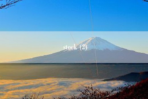 stock (2)