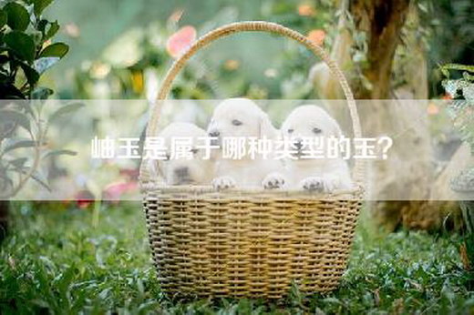 岫玉是属于哪种类型的玉？