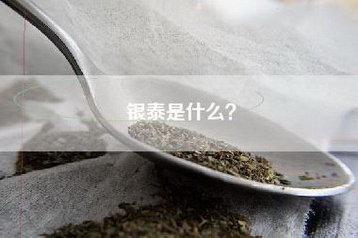 银泰是什么？