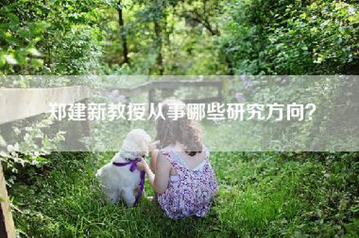 郑建新教授从事哪些研究方向？