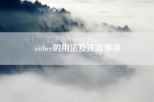 either的用法及注意事项