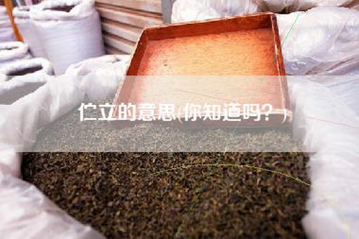 伫立的意思(你知道吗？)