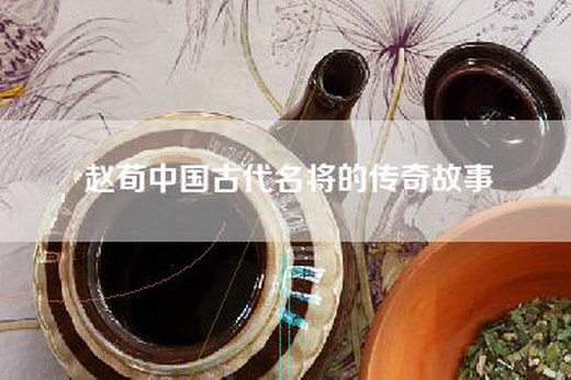 赵荀中国古代名将的传奇故事