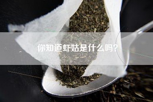 你知道虾姑是什么吗？