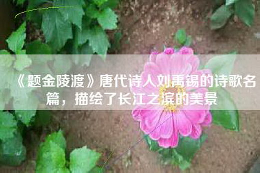 《题金陵渡》唐代诗人刘禹锡的诗歌名篇，描绘了长江之滨的美景