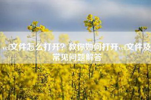vcf文件怎么打开？教你如何打开vcf文件及常见问题解答