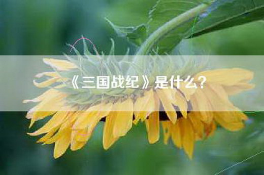 《三国战纪》是什么？