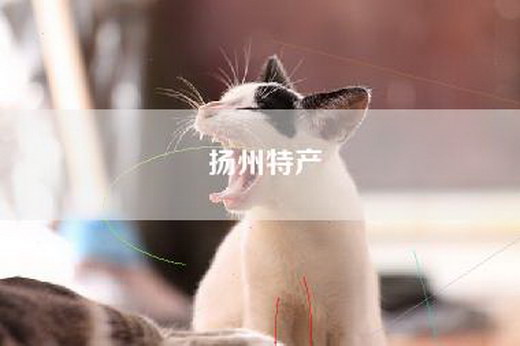 扬州特产