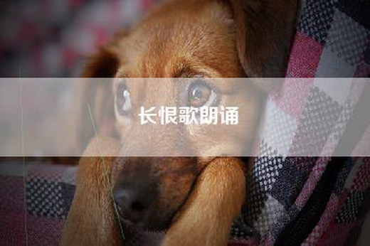 长恨歌朗诵
