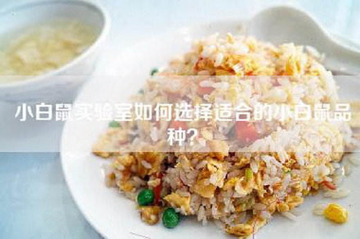 小白鼠实验室如何选择适合的小白鼠品种？
